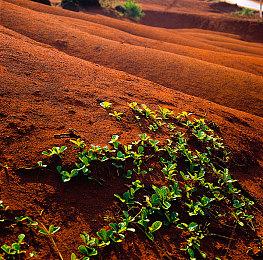 《火焰之纹章 结合》新PV公开 本作明年1月20日发售